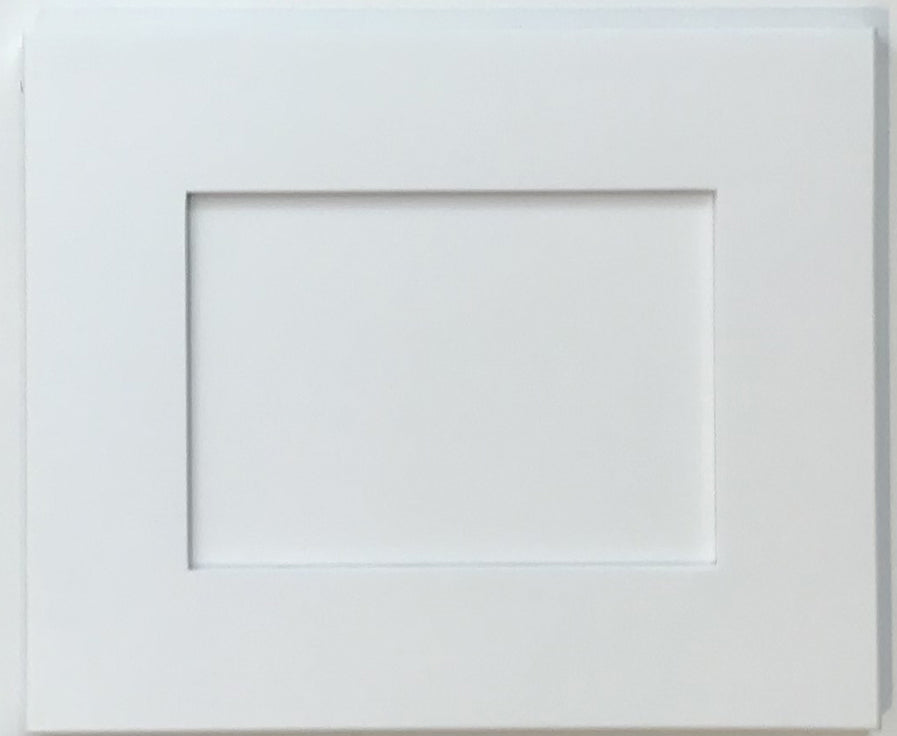 Darlington White shaker